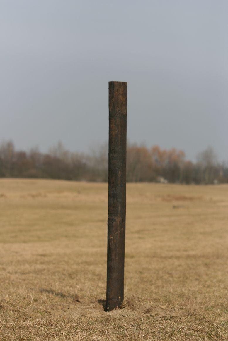 IMG-8662