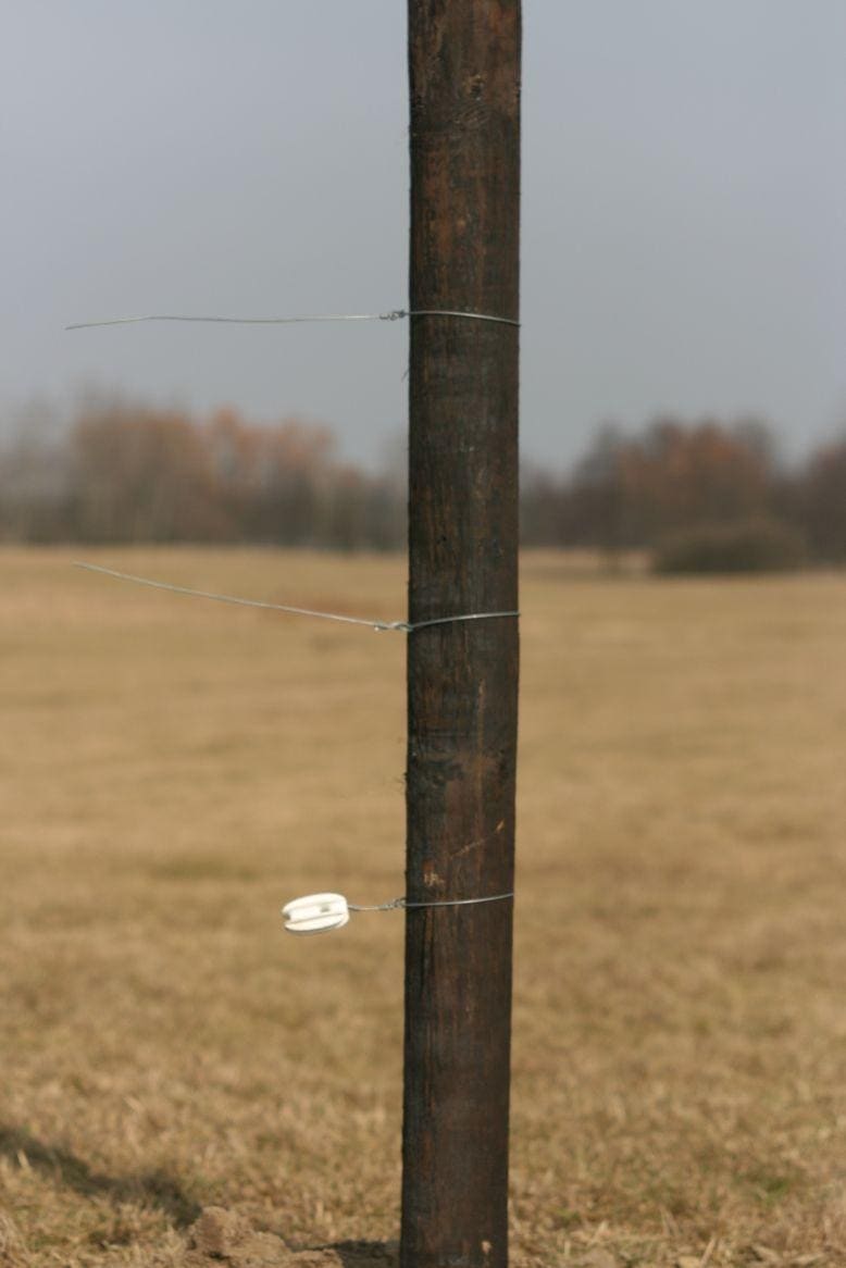 IMG-8663