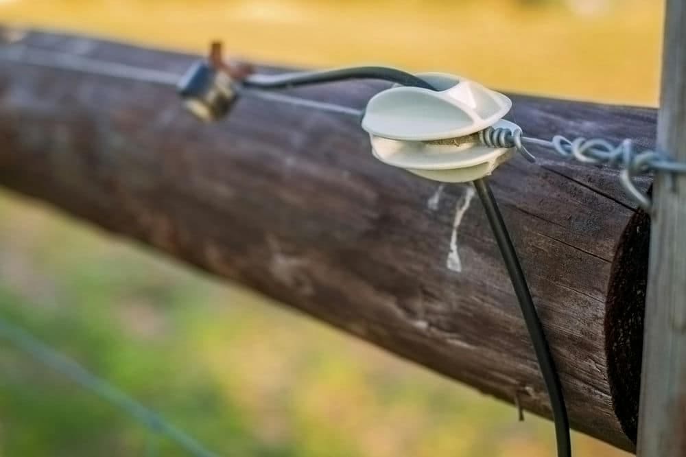 ogrodzenie elektryczne