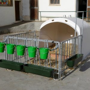 Budka-dla-cielat-Premium-XL-z-wygrodzeniem-300x300